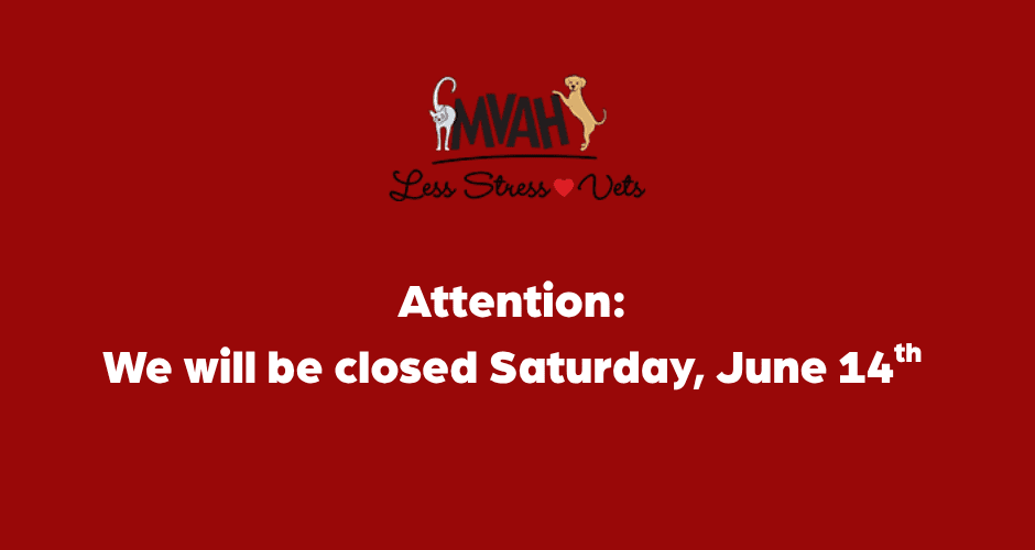 June Closed